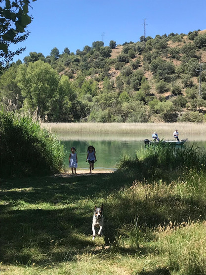 43f06c_0319ed989df24bffb0fa16bb817b1c95~mv2