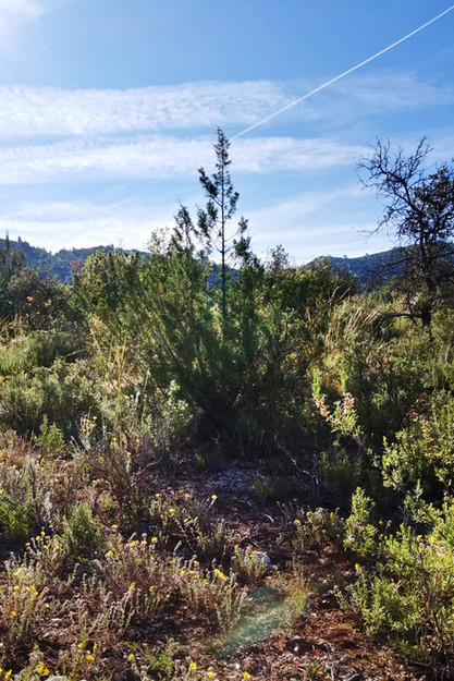 43f06c_34293fa50197448684004e665ca70853~mv2