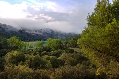 43f06c_4b84915ae0ba46259efb594098179629~mv2