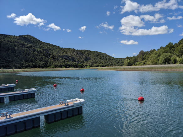 43f06c_14d7314e1f0c495f81e93a4565750aa6~mv2