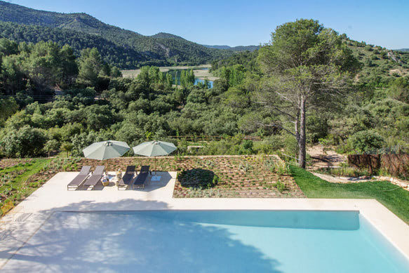 43f06c_1ce58c51893949f2aa997690fbb4eff7~mv2