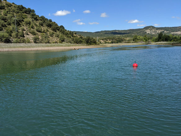 43f06c_e90704f08bc94679a5a7235df7b9953e~mv2